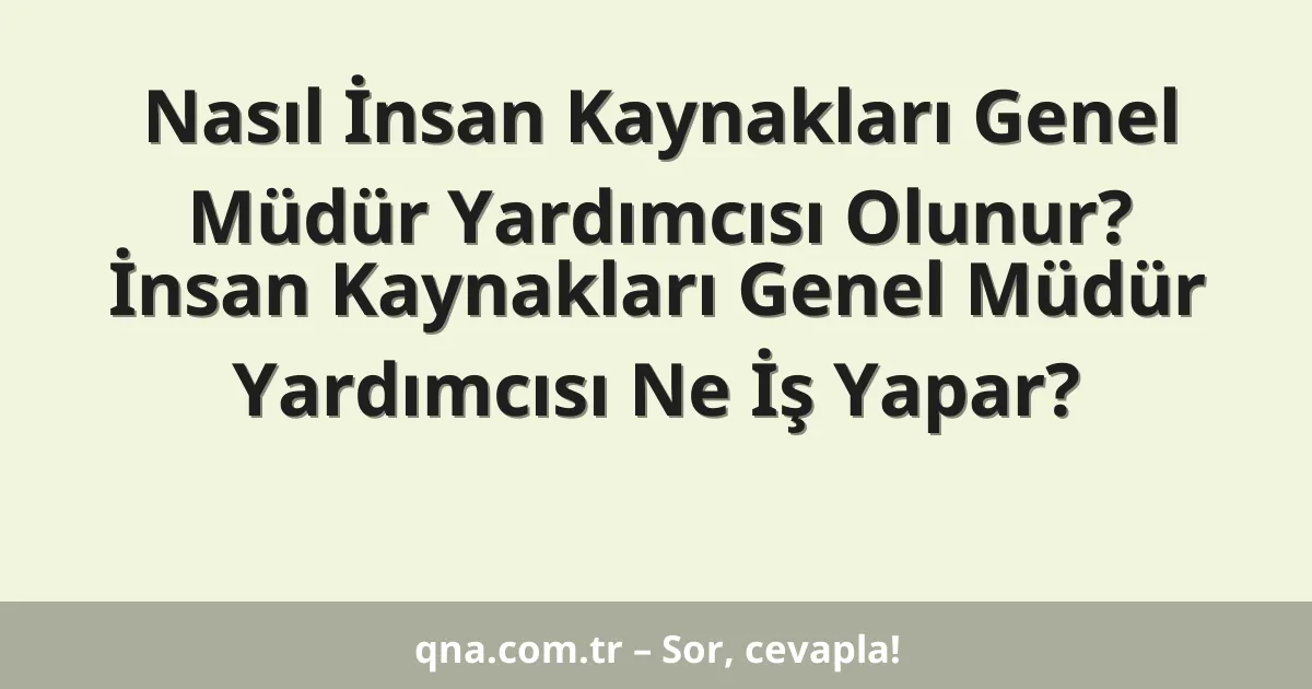 Nasıl İnsan Kaynakları Genel Müdür Yardımcısı Olunur? İnsan Kaynakları Genel Müdür Yardımcısı Ne İş Yapar?