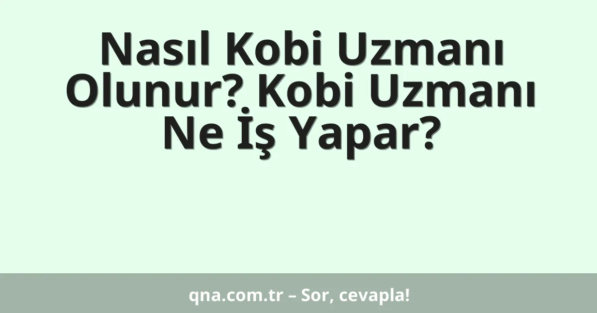 Nasıl Kobi Uzmanı Olunur? Kobi Uzmanı Ne İş Yapar?