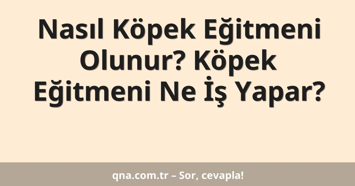 Nasıl Köpek Eğitmeni Olunur? Köpek Eğitmeni Ne İş Yapar?