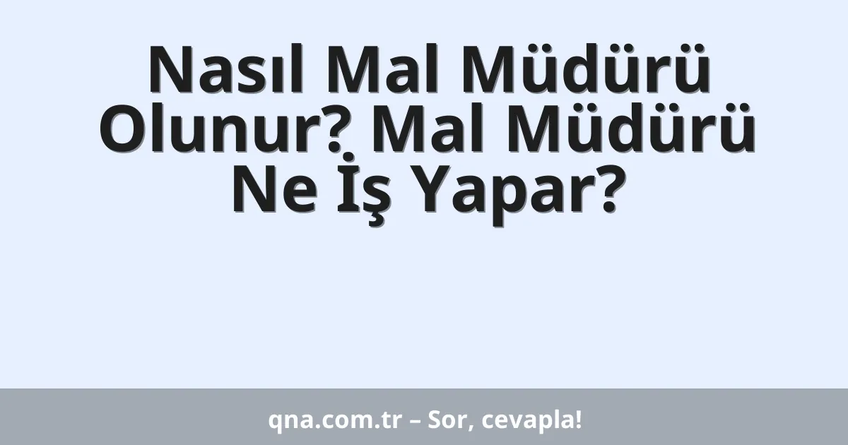 Nasıl Mal Müdürü Olunur? Mal Müdürü Ne İş Yapar?