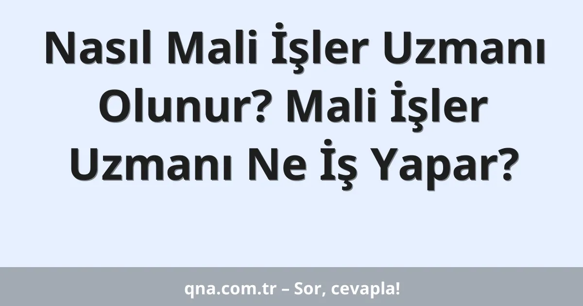 Nasıl Mali İşler Uzmanı Olunur? Mali İşler Uzmanı Ne İş Yapar?