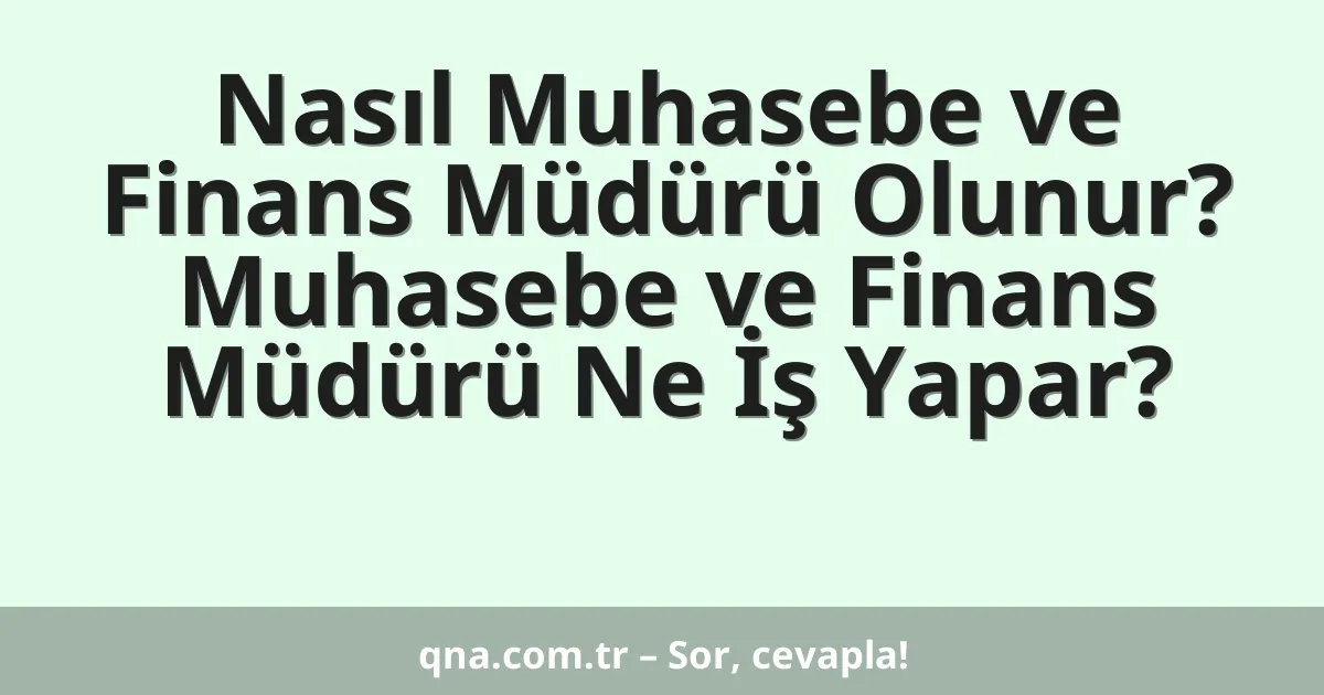 Nasıl Muhasebe ve Finans Müdürü Olunur? Muhasebe ve Finans Müdürü Ne İş Yapar?