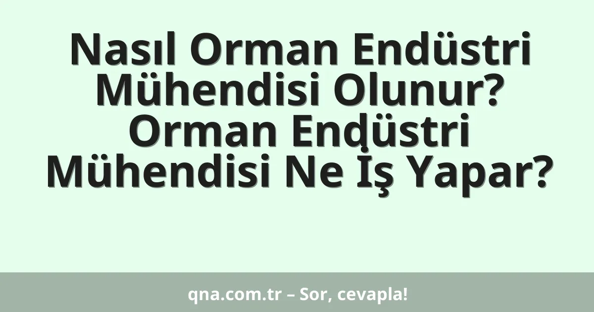 Nasıl Orman Endüstri Mühendisi Olunur? Orman Endüstri Mühendisi Ne İş Yapar?