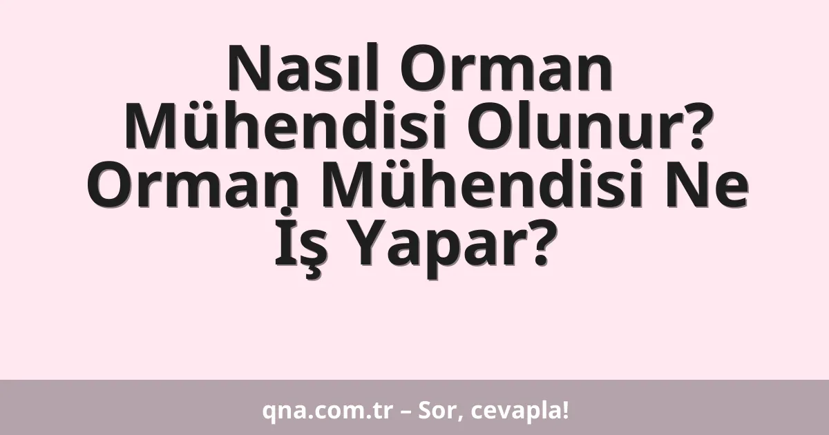 Nasıl Orman Mühendisi Olunur? Orman Mühendisi Ne İş Yapar?