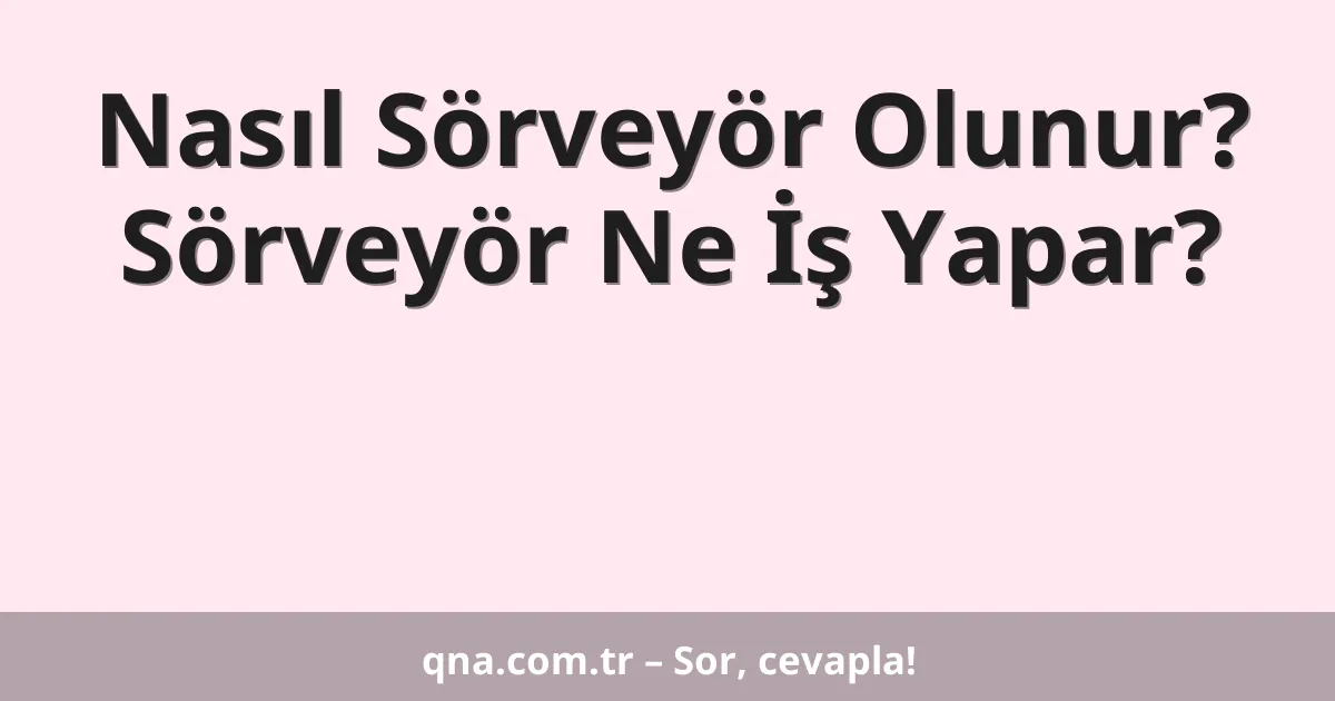 Nasıl Sörveyör Olunur? Sörveyör Ne İş Yapar?