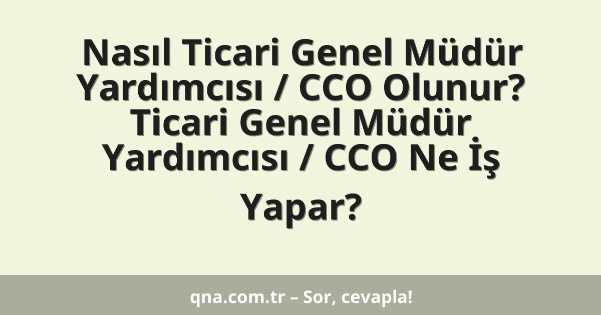 Nasıl Ticari Genel Müdür Yardımcısı / CCO Olunur? Ticari Genel Müdür Yardımcısı / CCO Ne İş Yapar?