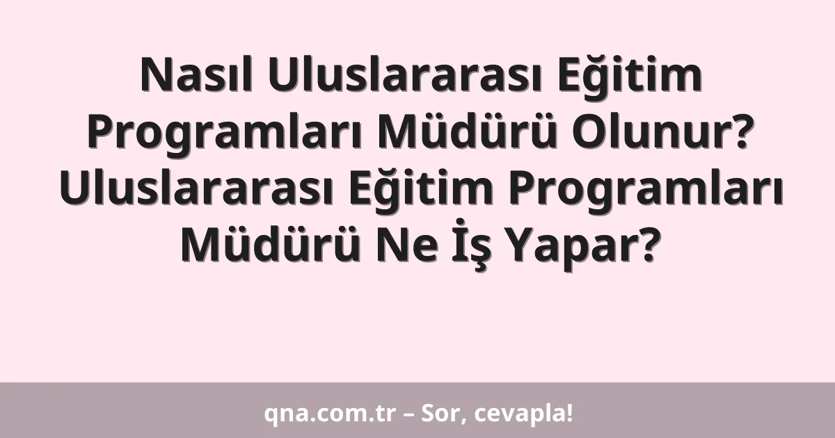 Nasıl Uluslararası Eğitim Programları Müdürü Olunur? Uluslararası Eğitim Programları Müdürü Ne İş Yapar?