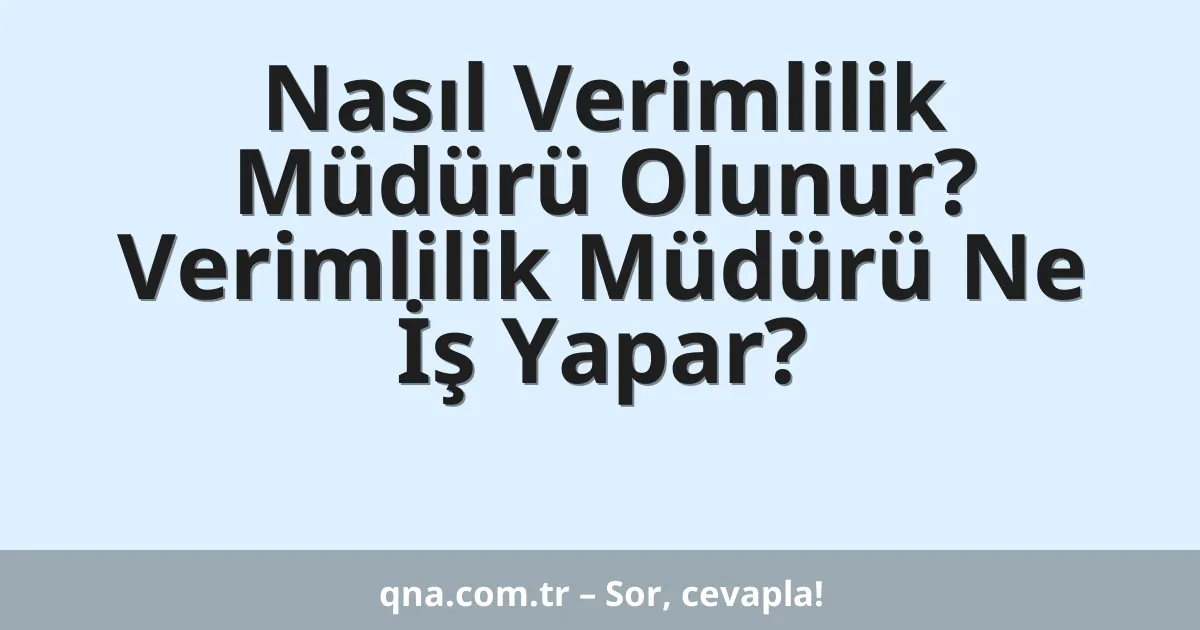 Nasıl Verimlilik Müdürü Olunur? Verimlilik Müdürü Ne İş Yapar?