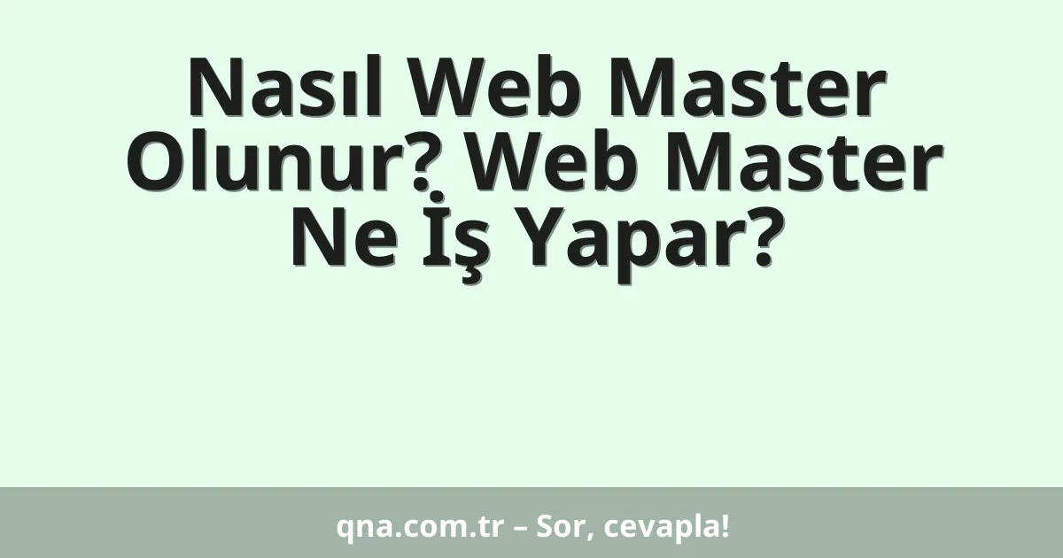 Nasıl Web Master Olunur? Web Master Ne İş Yapar?