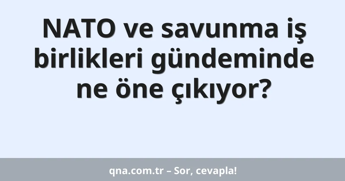 NATO ve savunma iş birlikleri gündeminde ne öne çıkıyor?