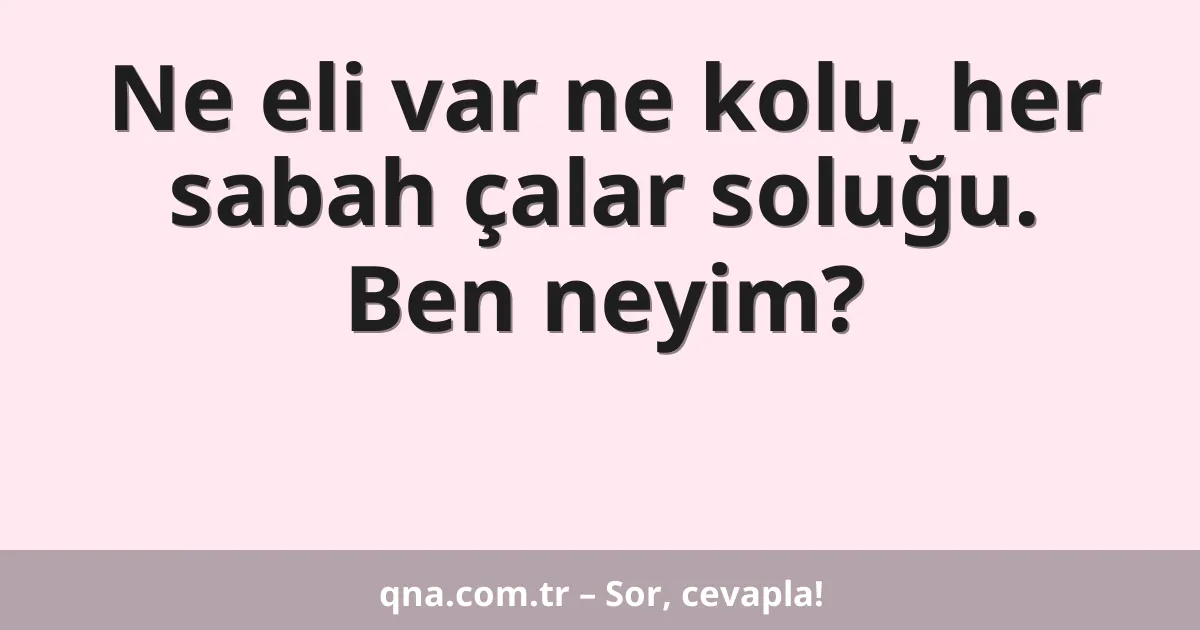 Ne eli var ne kolu, her sabah çalar soluğu. Ben neyim?
