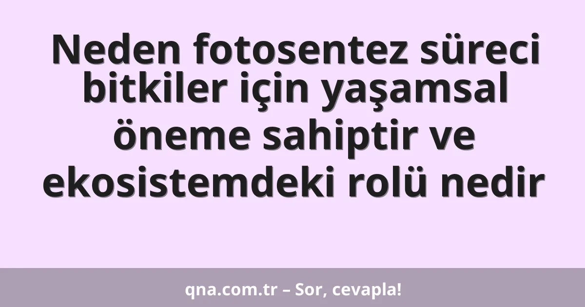 Neden fotosentez süreci bitkiler için yaşamsal öneme sahiptir ve ekosistemdeki rolü nedir