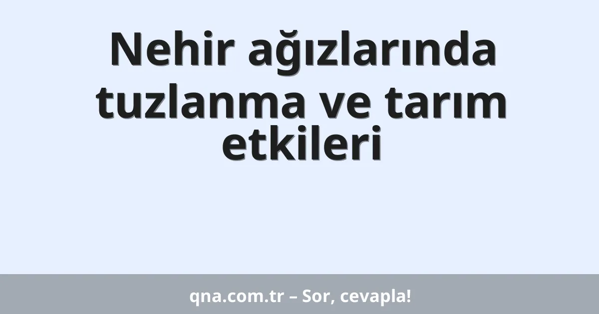 Nehir ağızlarında tuzlanma ve tarım etkileri