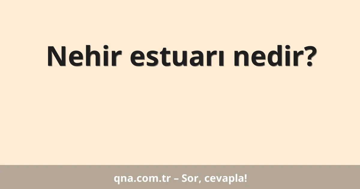 Nehir estuarı nedir?