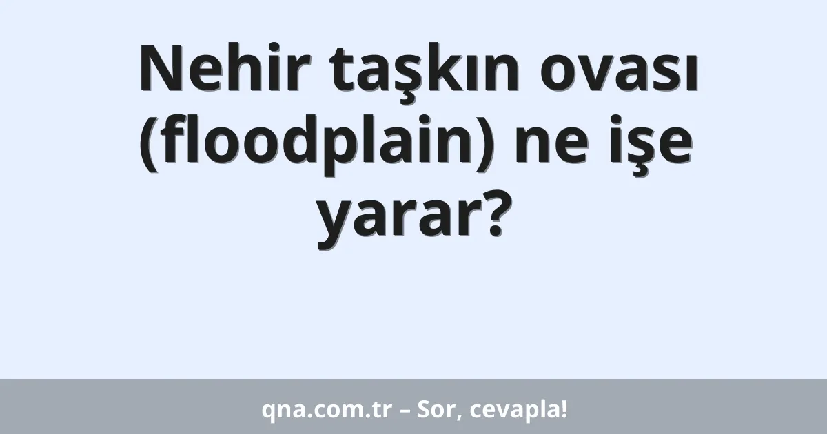 Nehir taşkın ovası (floodplain) ne işe yarar?