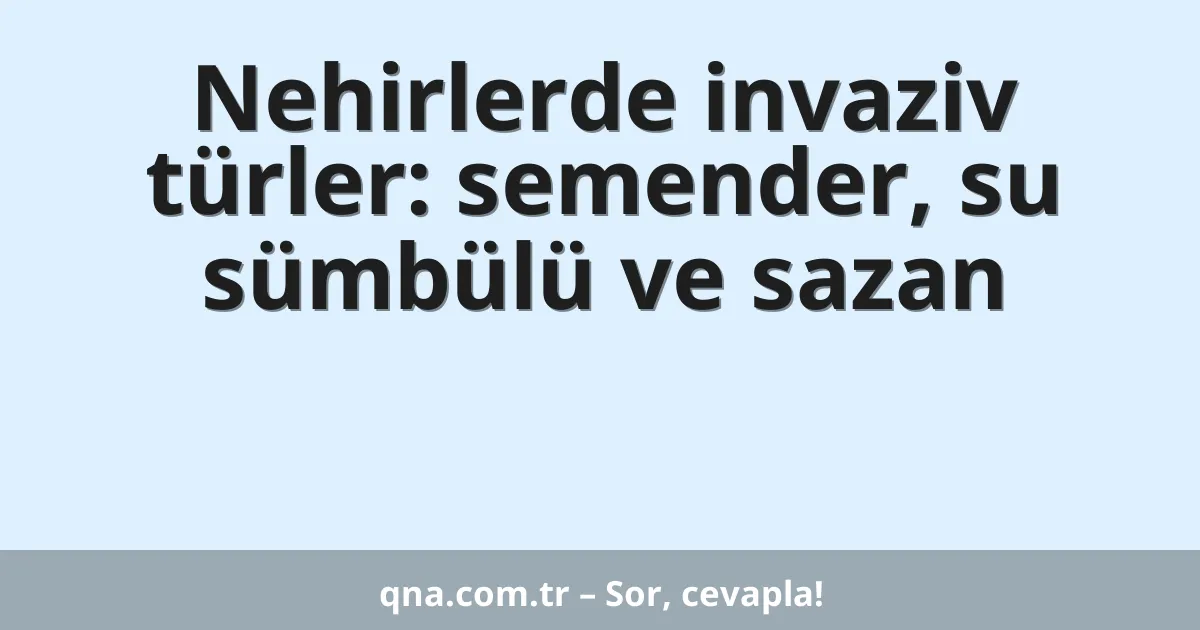 Nehirlerde invaziv türler: semender, su sümbülü ve sazan