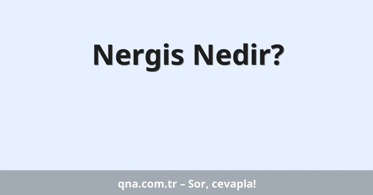 Nergis Nedir?