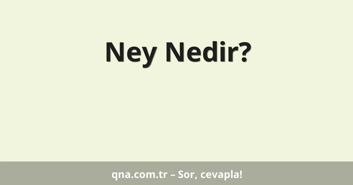 Ney Nedir?