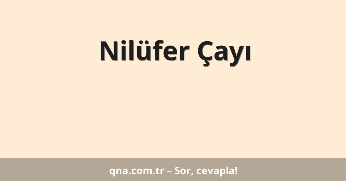 Nilüfer Çayı