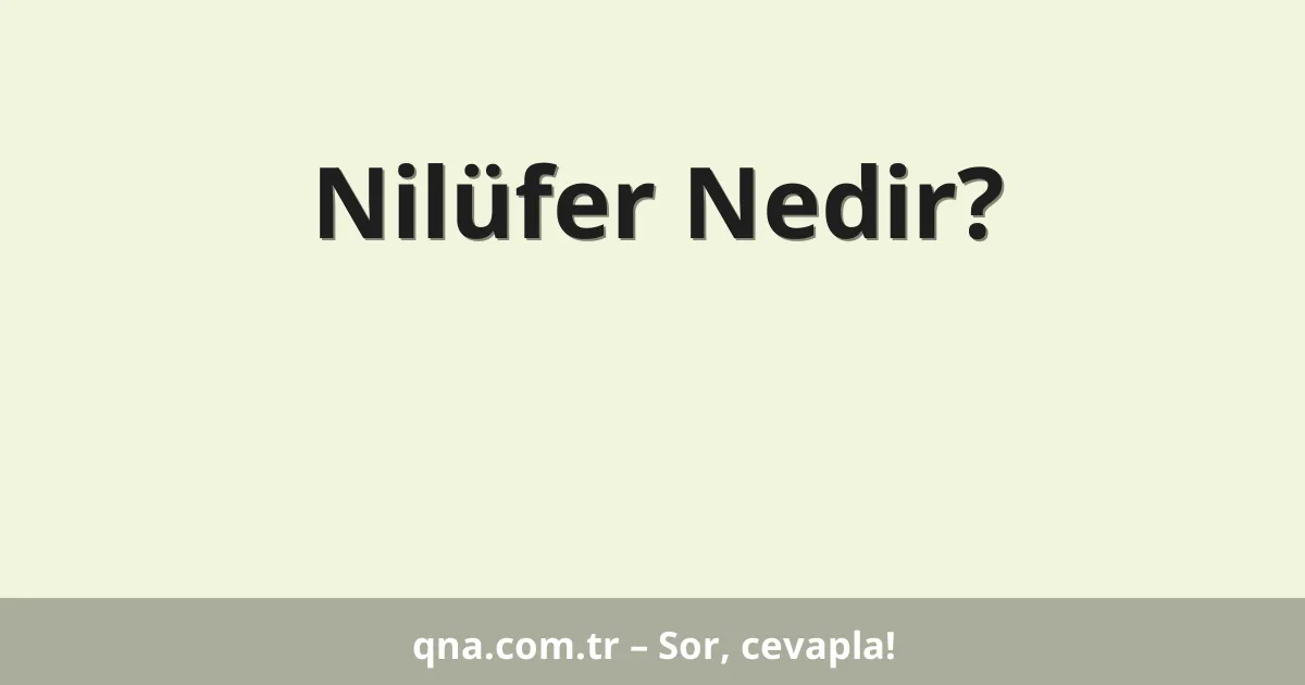 Nilüfer Nedir?