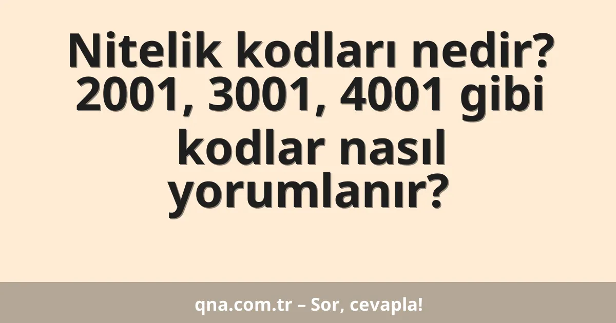 Nitelik kodları nedir? 2001, 3001, 4001 gibi kodlar nasıl yorumlanır?