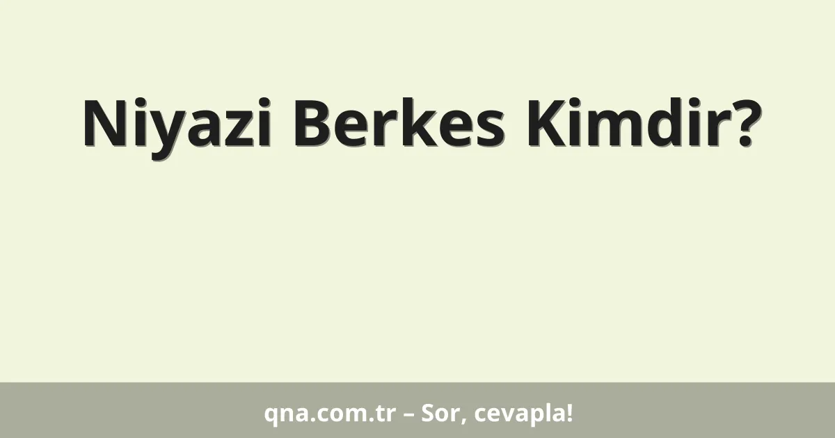Niyazi Berkes Kimdir?