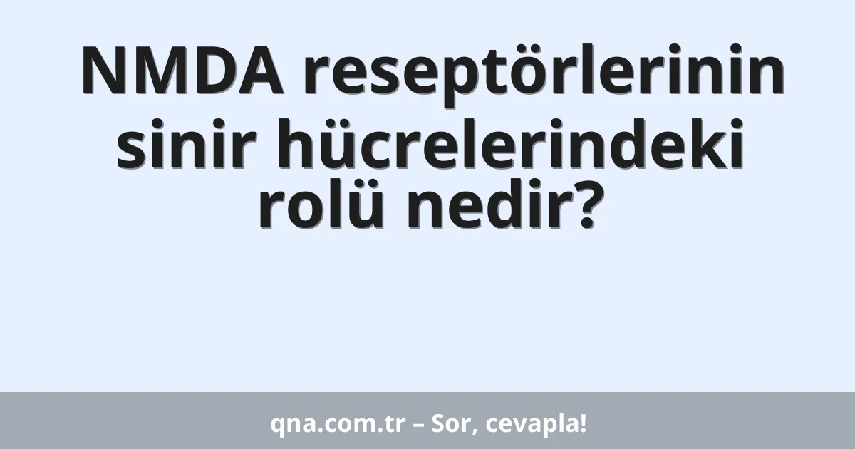 NMDA reseptörlerinin sinir hücrelerindeki rolü nedir?