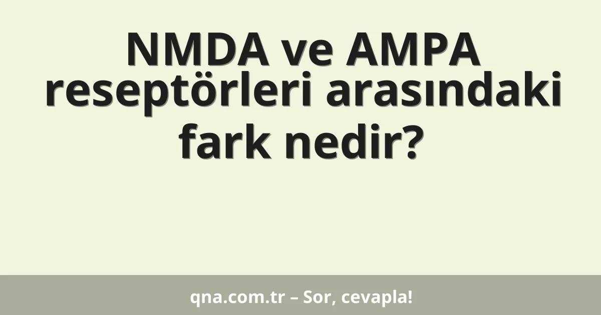 NMDA ve AMPA reseptörleri arasındaki fark nedir?