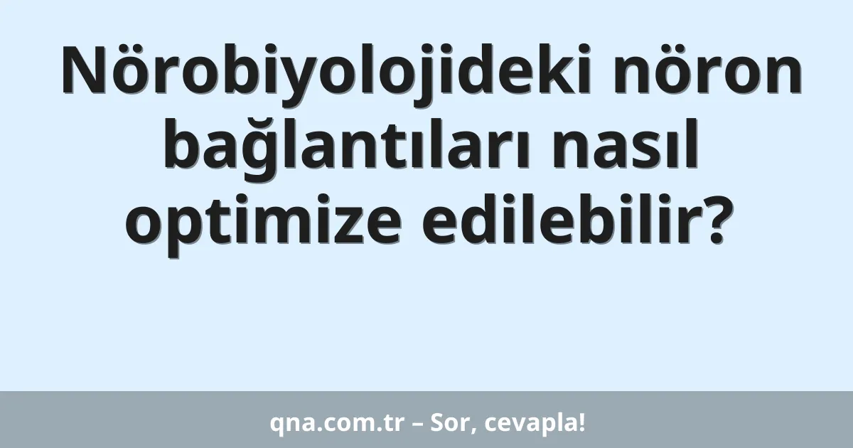Nörobiyolojideki nöron bağlantıları nasıl optimize edilebilir?