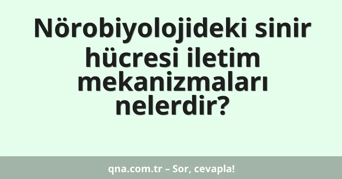 Nörobiyolojideki sinir hücresi iletim mekanizmaları nelerdir?