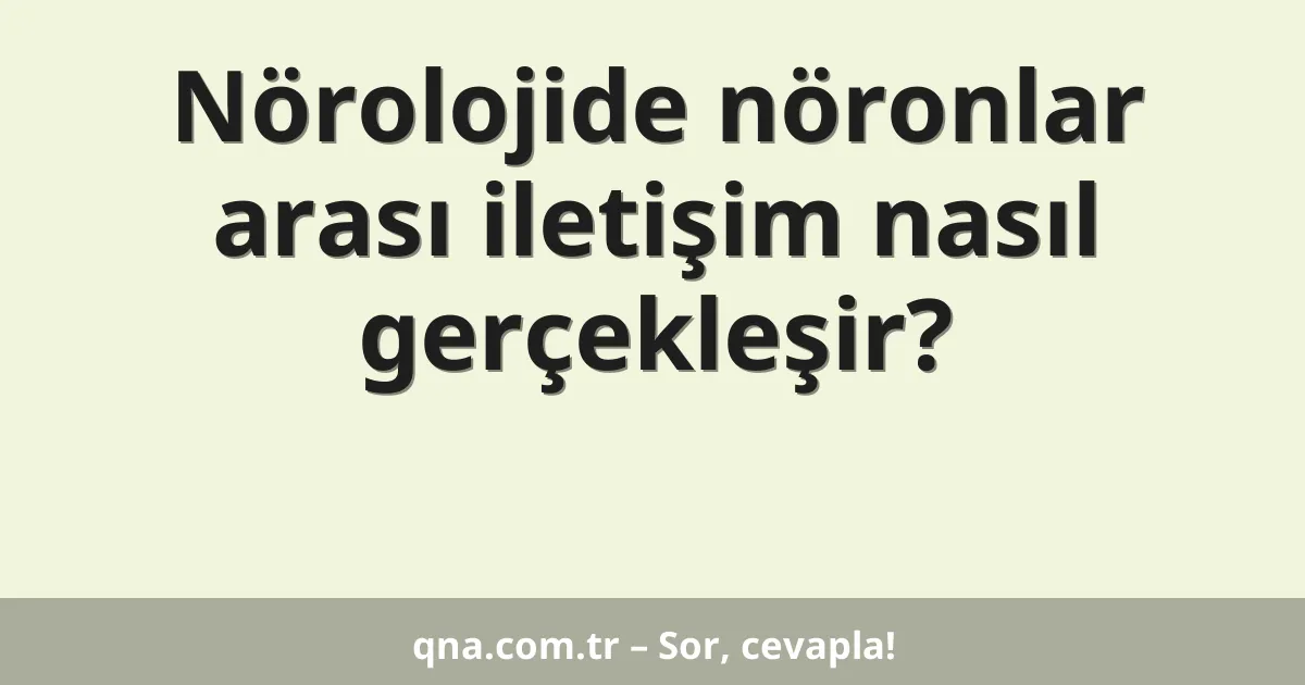Nörolojide nöronlar arası iletişim nasıl gerçekleşir?