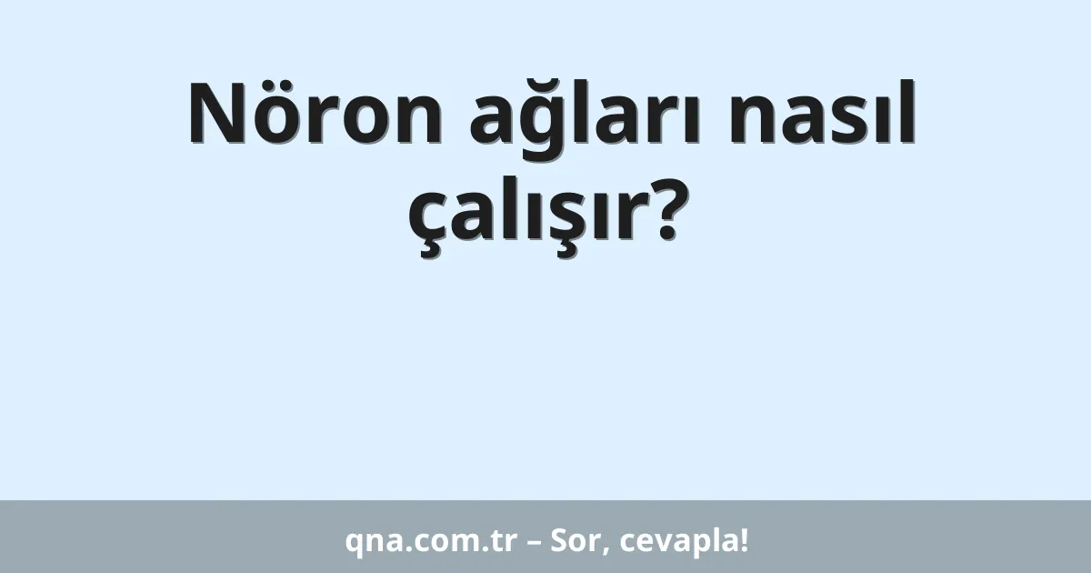 Nöron ağları nasıl çalışır?