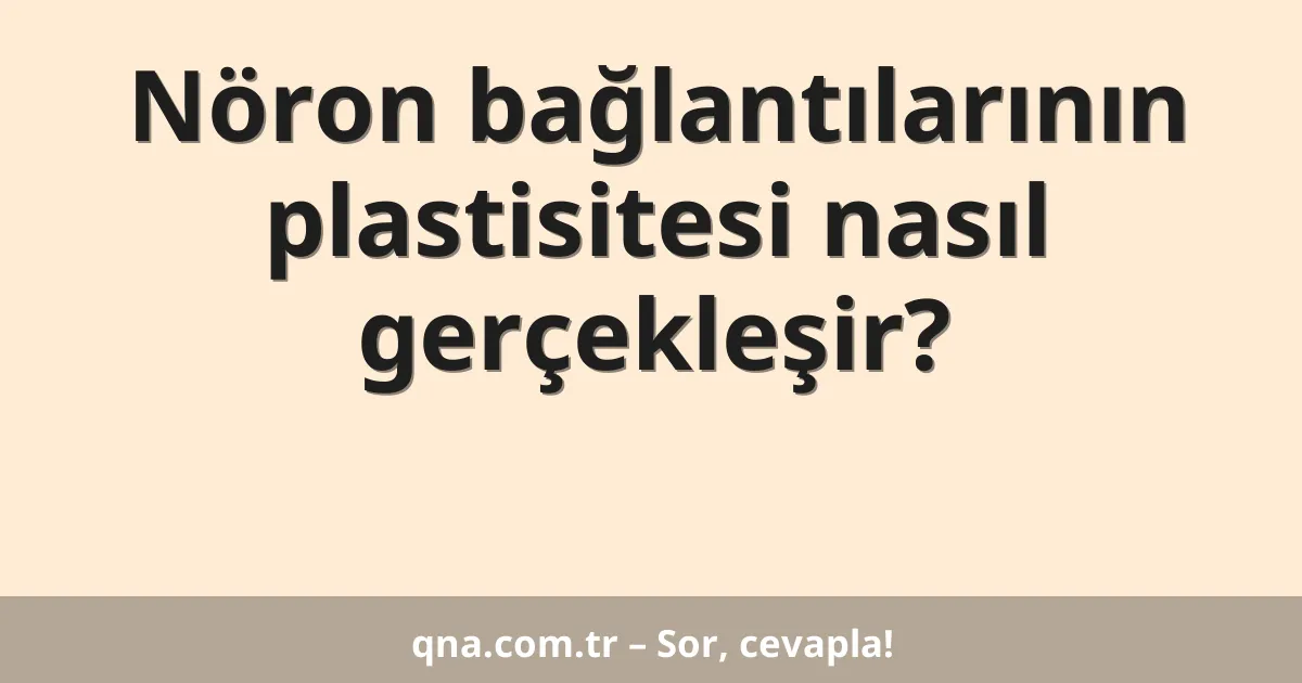 Nöron bağlantılarının plastisitesi nasıl gerçekleşir?