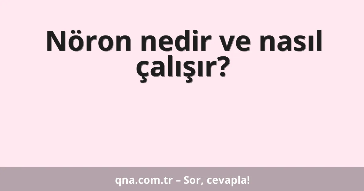 Nöron nedir ve nasıl çalışır?