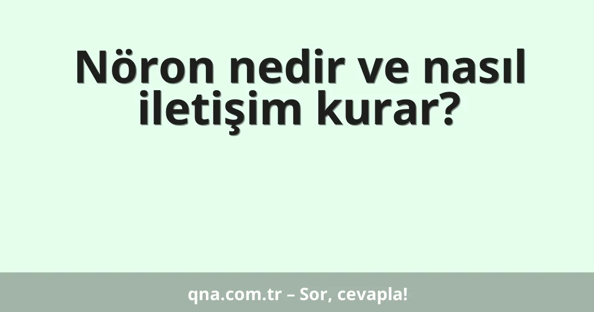 Nöron nedir ve nasıl iletişim kurar?