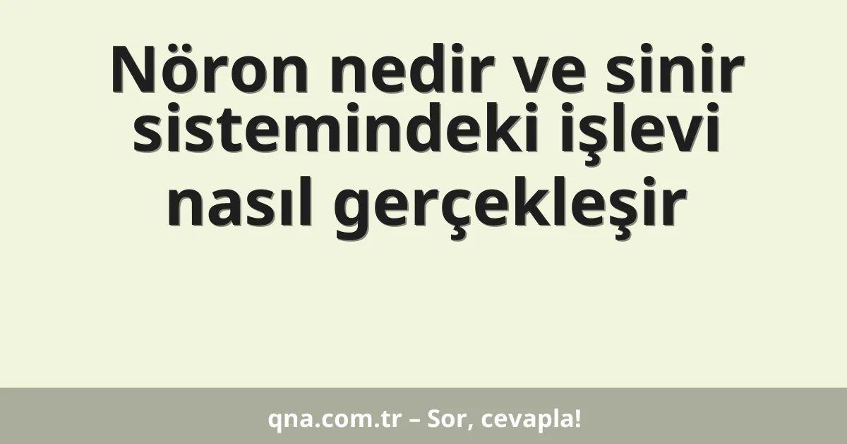 Nöron nedir ve sinir sistemindeki işlevi nasıl gerçekleşir