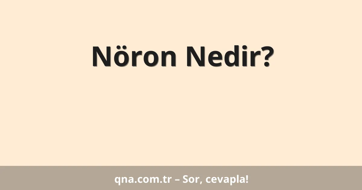 Nöron Nedir?