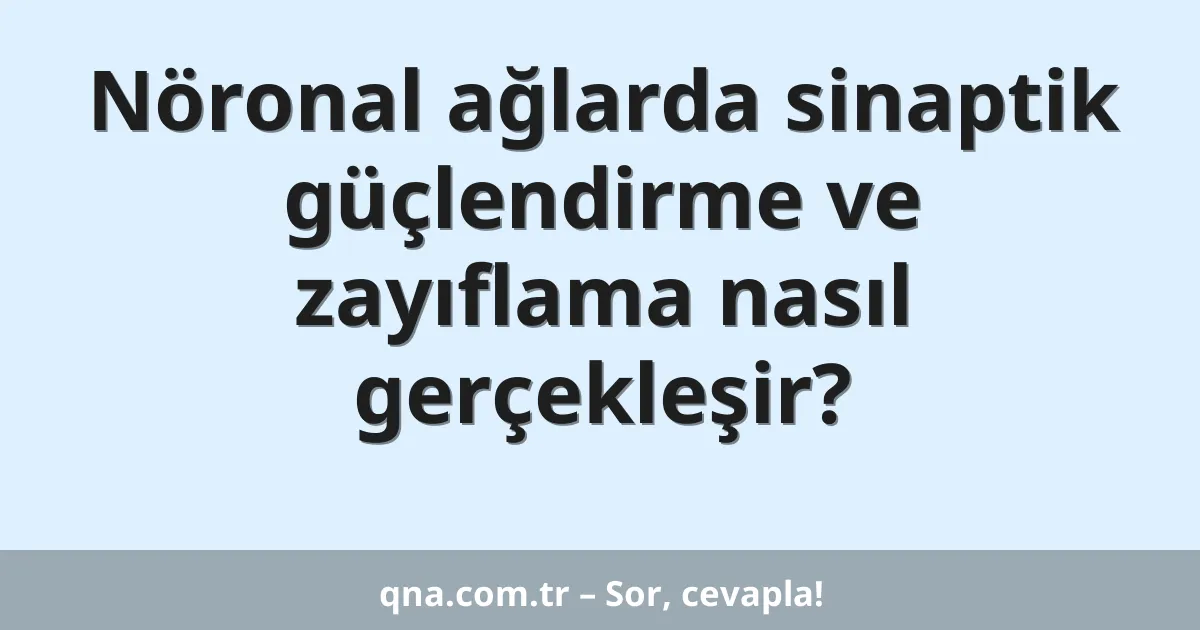 Nöronal ağlarda sinaptik güçlendirme ve zayıflama nasıl gerçekleşir?