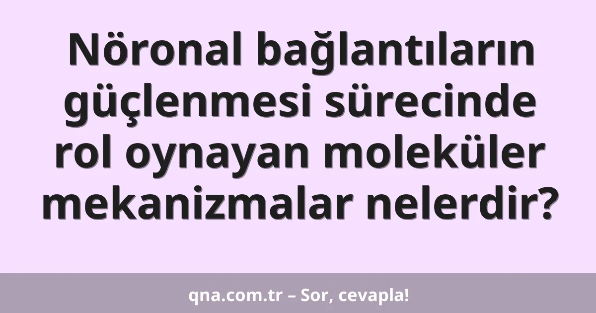 Nöronal bağlantıların güçlenmesi sürecinde rol oynayan moleküler mekanizmalar nelerdir?