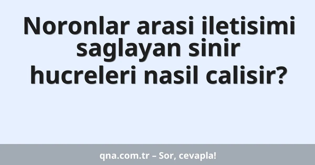 Noronlar arasi iletisimi saglayan sinir hucreleri nasil calisir?