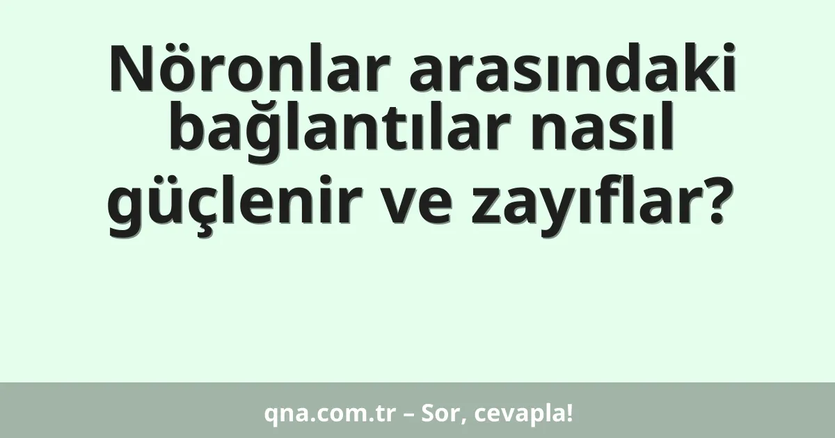 Nöronlar arasındaki bağlantılar nasıl güçlenir ve zayıflar?
