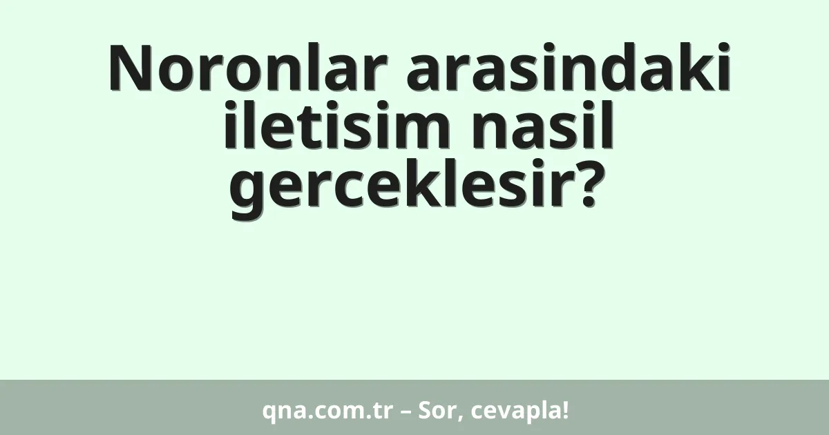 Noronlar arasindaki iletisim nasil gerceklesir?