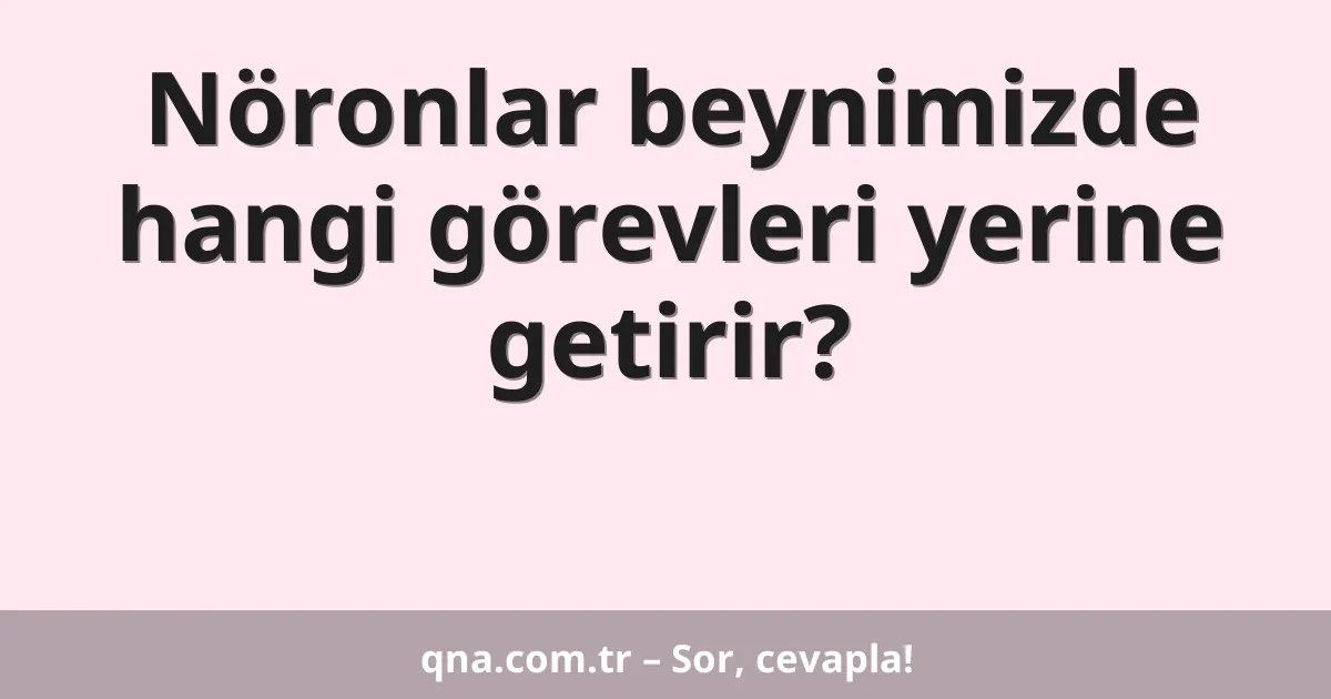 Nöronlar beynimizde hangi görevleri yerine getirir?