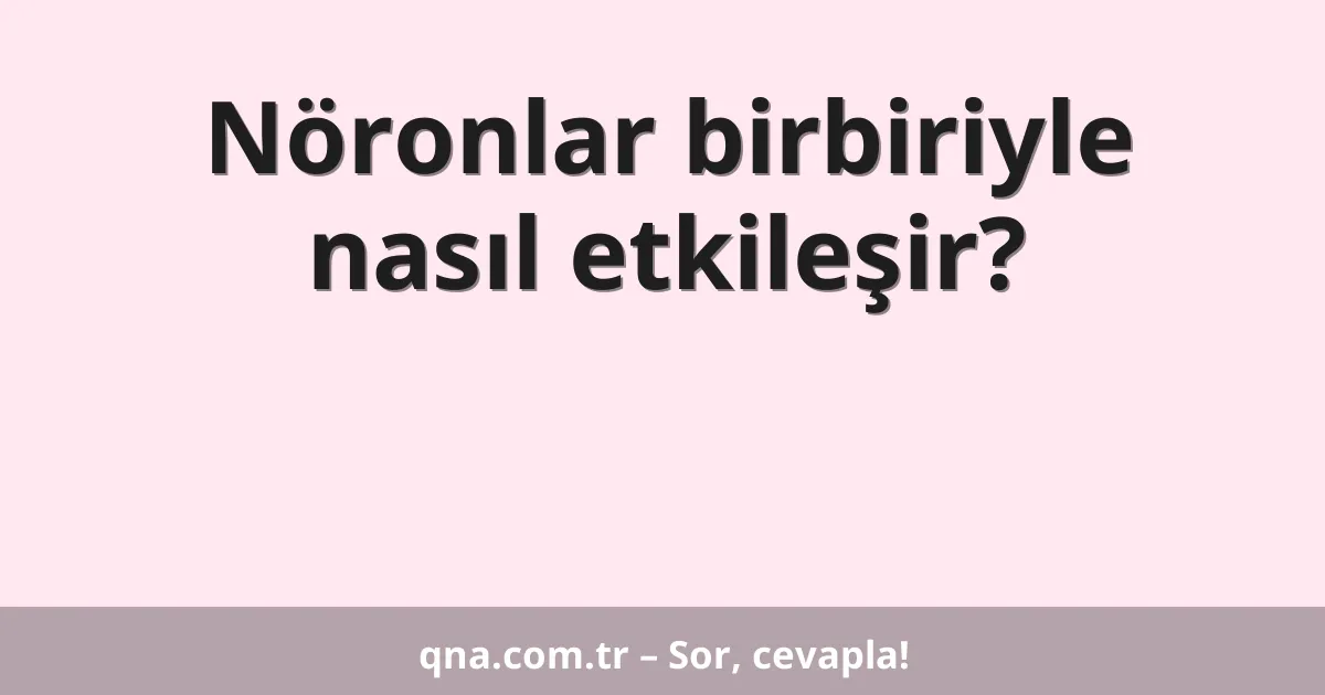Nöronlar birbiriyle nasıl etkileşir?