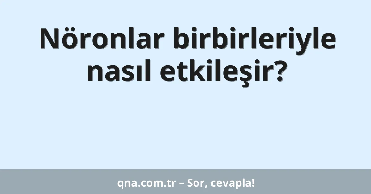 Nöronlar birbirleriyle nasıl etkileşir?