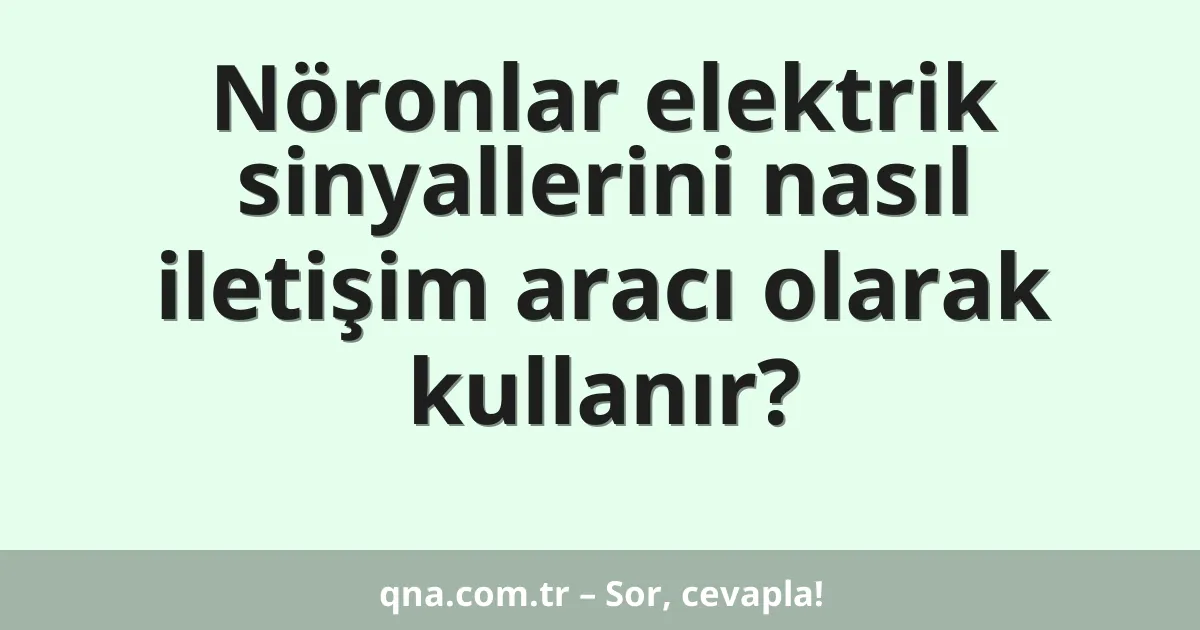 Nöronlar elektrik sinyallerini nasıl iletişim aracı olarak kullanır?