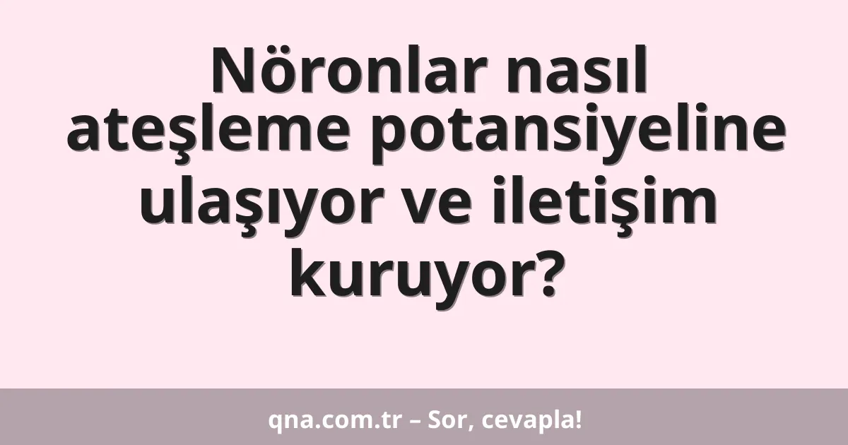 Nöronlar nasıl ateşleme potansiyeline ulaşıyor ve iletişim kuruyor?