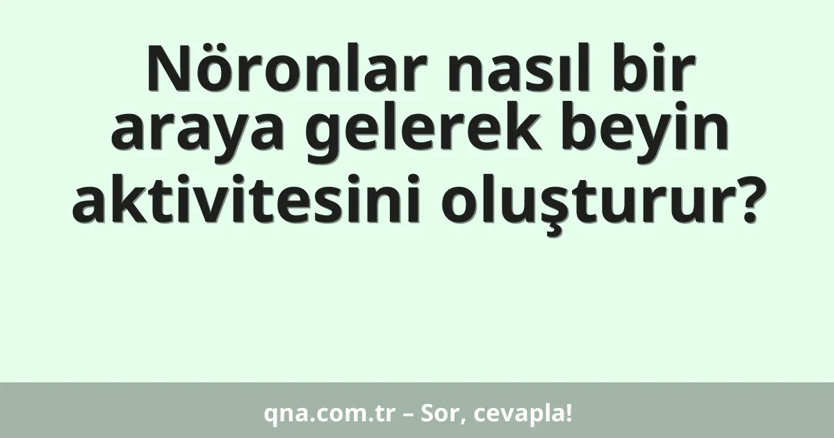 Nöronlar nasıl bir araya gelerek beyin aktivitesini oluşturur?