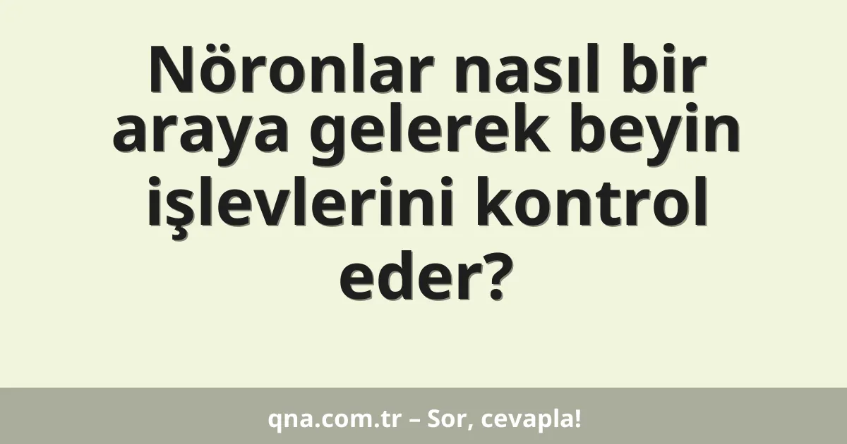 Nöronlar nasıl bir araya gelerek beyin işlevlerini kontrol eder?