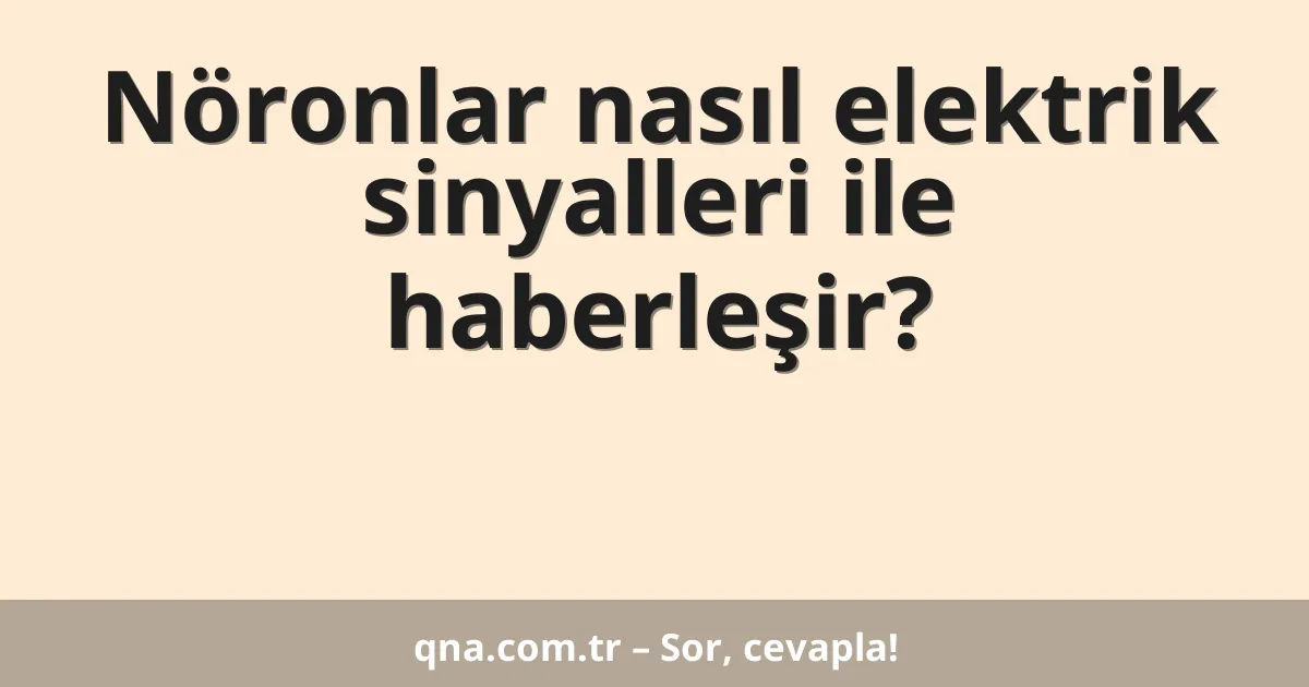 Nöronlar nasıl elektrik sinyalleri ile haberleşir?